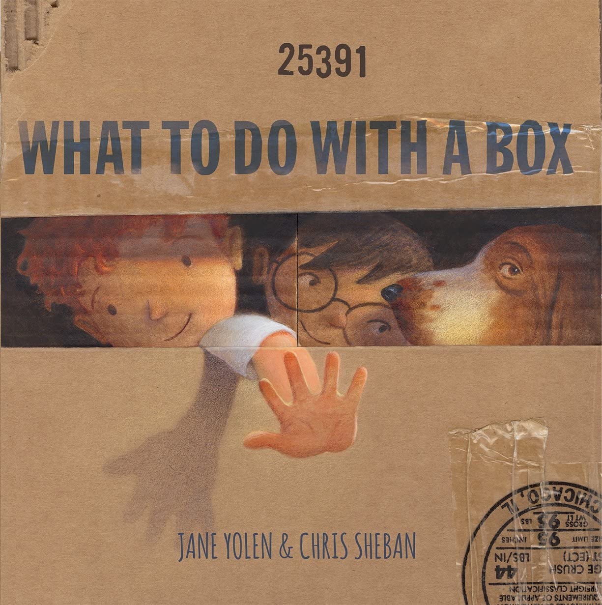 What to Do with a Box book cover