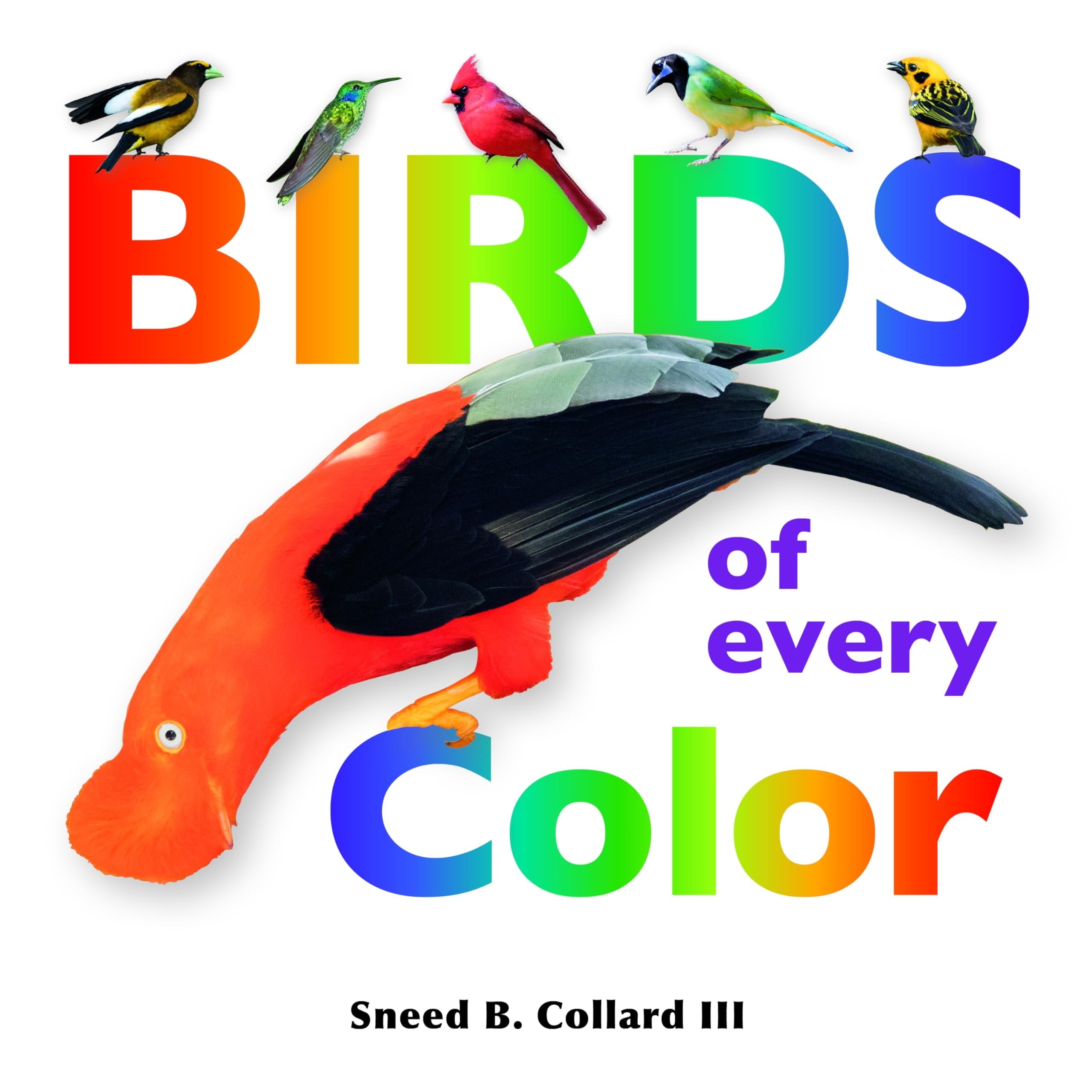 Birds of Every Color book cover