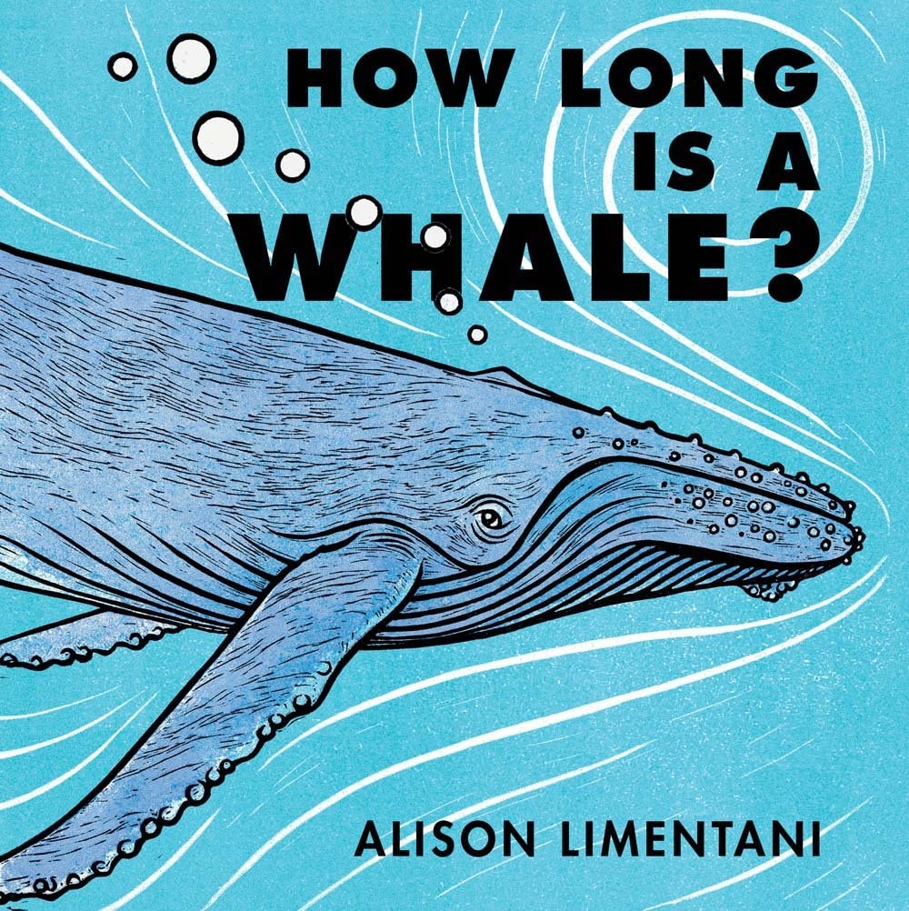 How Long is a Whale? book cover