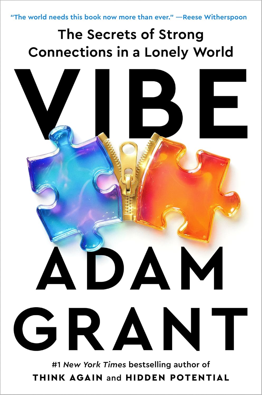 Vibe: The Secrets of Strong Connections in a Lonely World (Paperback)