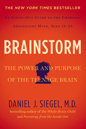 Brainstorm book cover