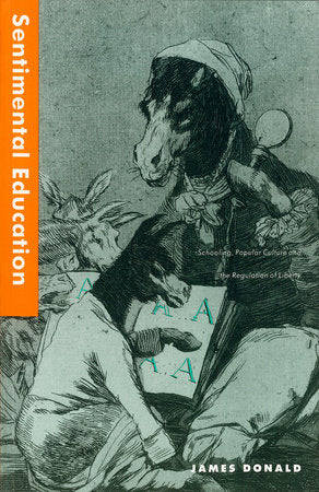 Sentimental Education book cover