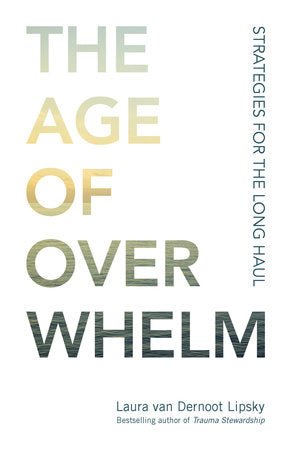The Age of Overwhelm book cover