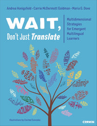 Wait, Don’t Just Translate: Multidimensional Strategies for Emergent Multilingual Learners
