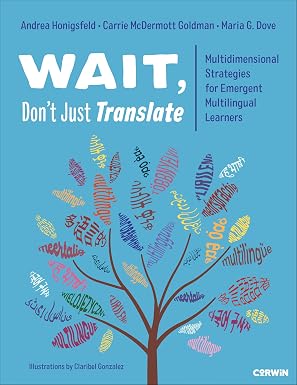 Wait, Don’t Just Translate: Multidimensional Strategies for Emergent Multilingual Learners