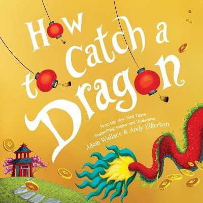 How to Catch a Dragon book cover