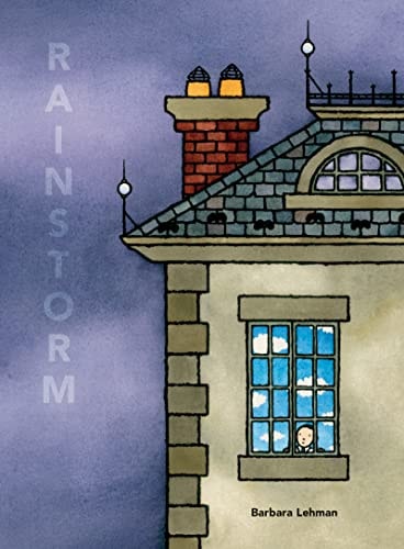 Rainstorm book cover