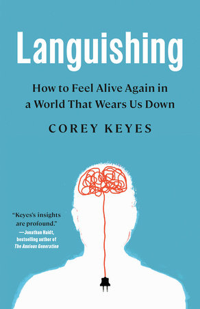 Languishing book cover