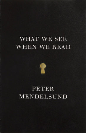 What We See When We Read book cover