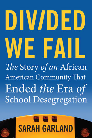 Divided We Fail book cover