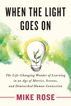 When the Light Goes On book cover
