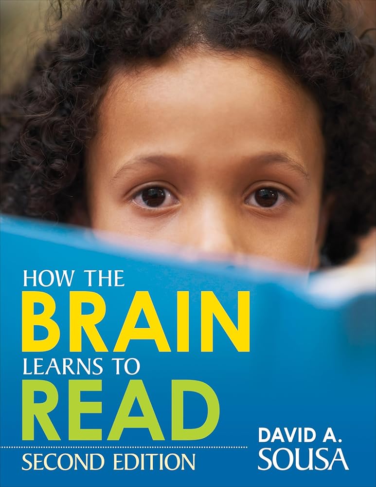 How the Brain Learns to Read cover image