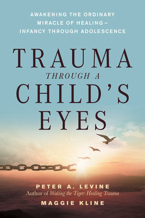 Trauma Through a Child's Eyes book cover